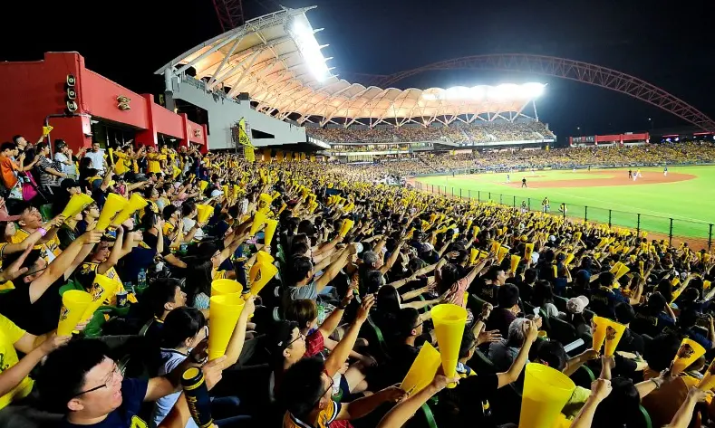 運動彩券怎麼玩？ 台灣運動彩券的核心特色